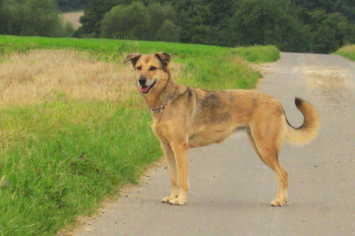 Neue Intensivkurse