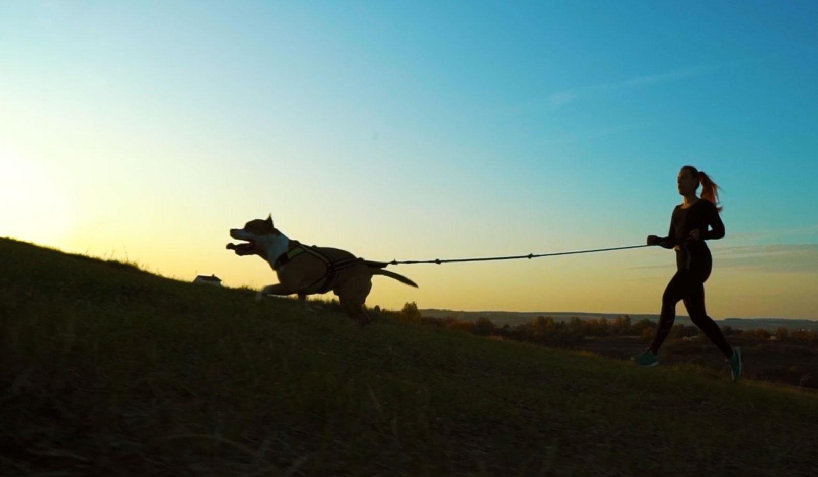 Die neue IN-Sportart jetzt im Hundezentrum Kottenforst