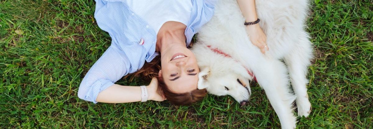 Von deinem Hund für deinen Hund lernen