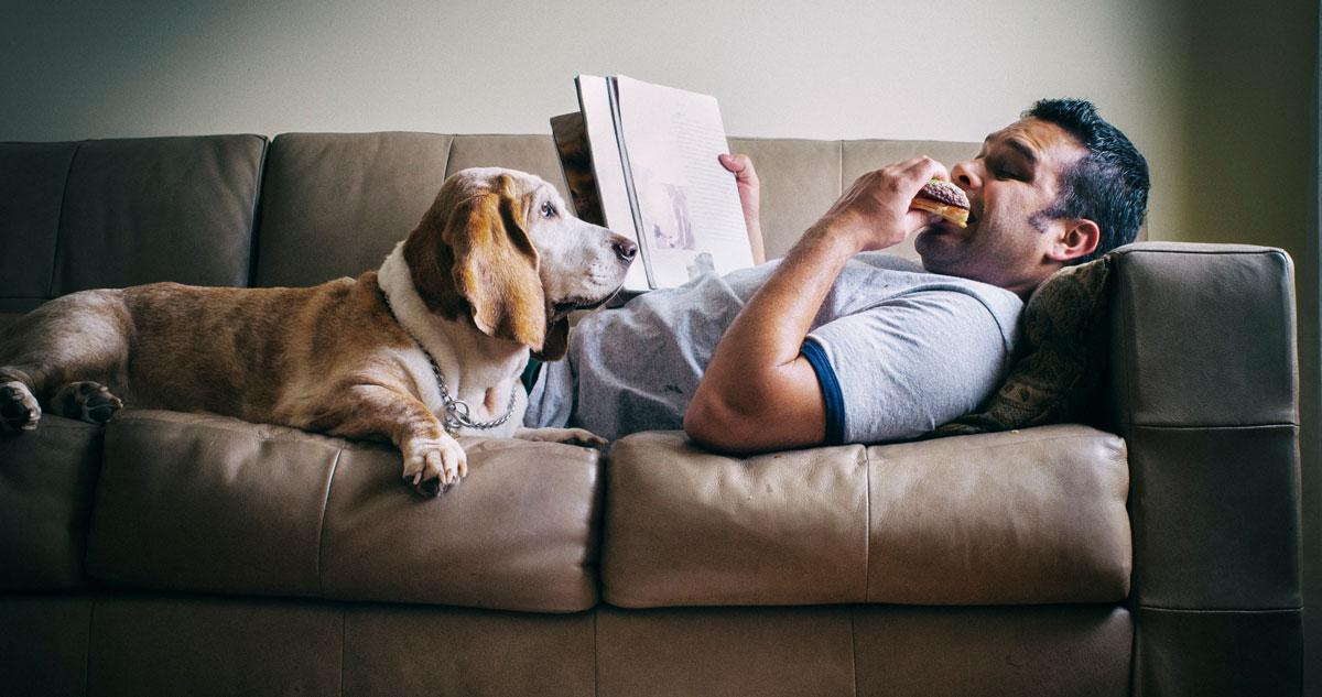 Spannende Themen rund um Hunde<br/>und das Hundezentrum Kottenforst